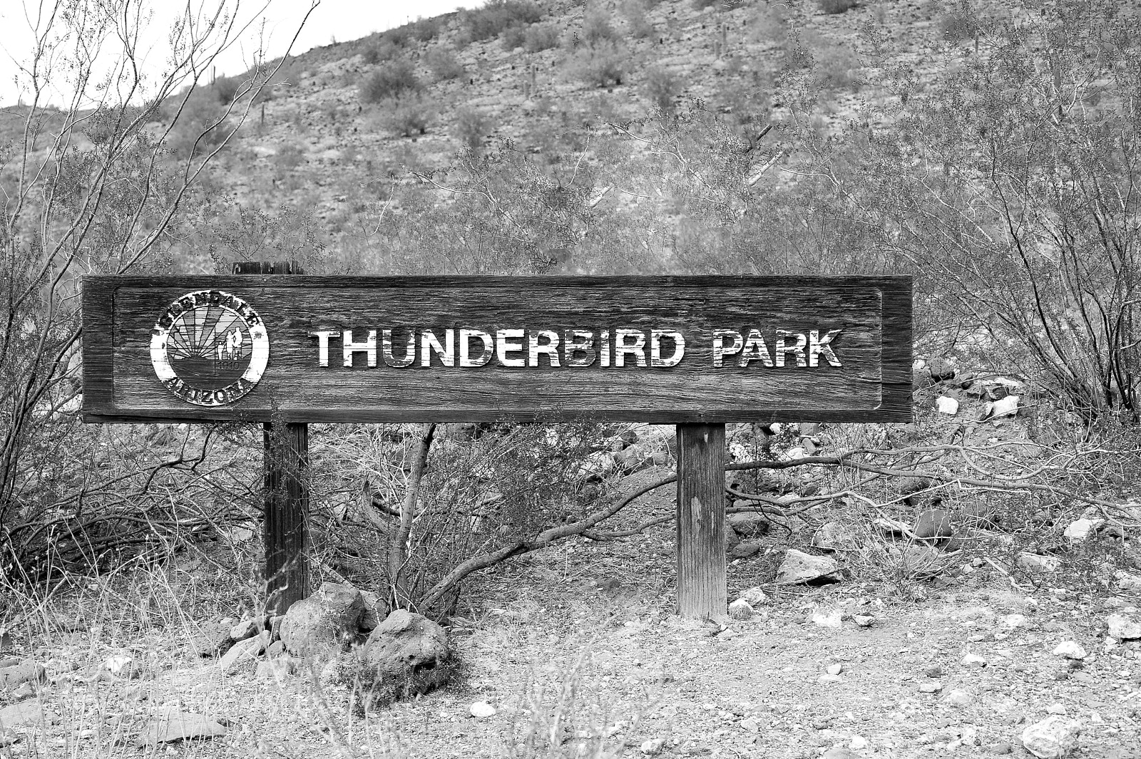 Nikon D700 sample photo. Thunderbird park photography