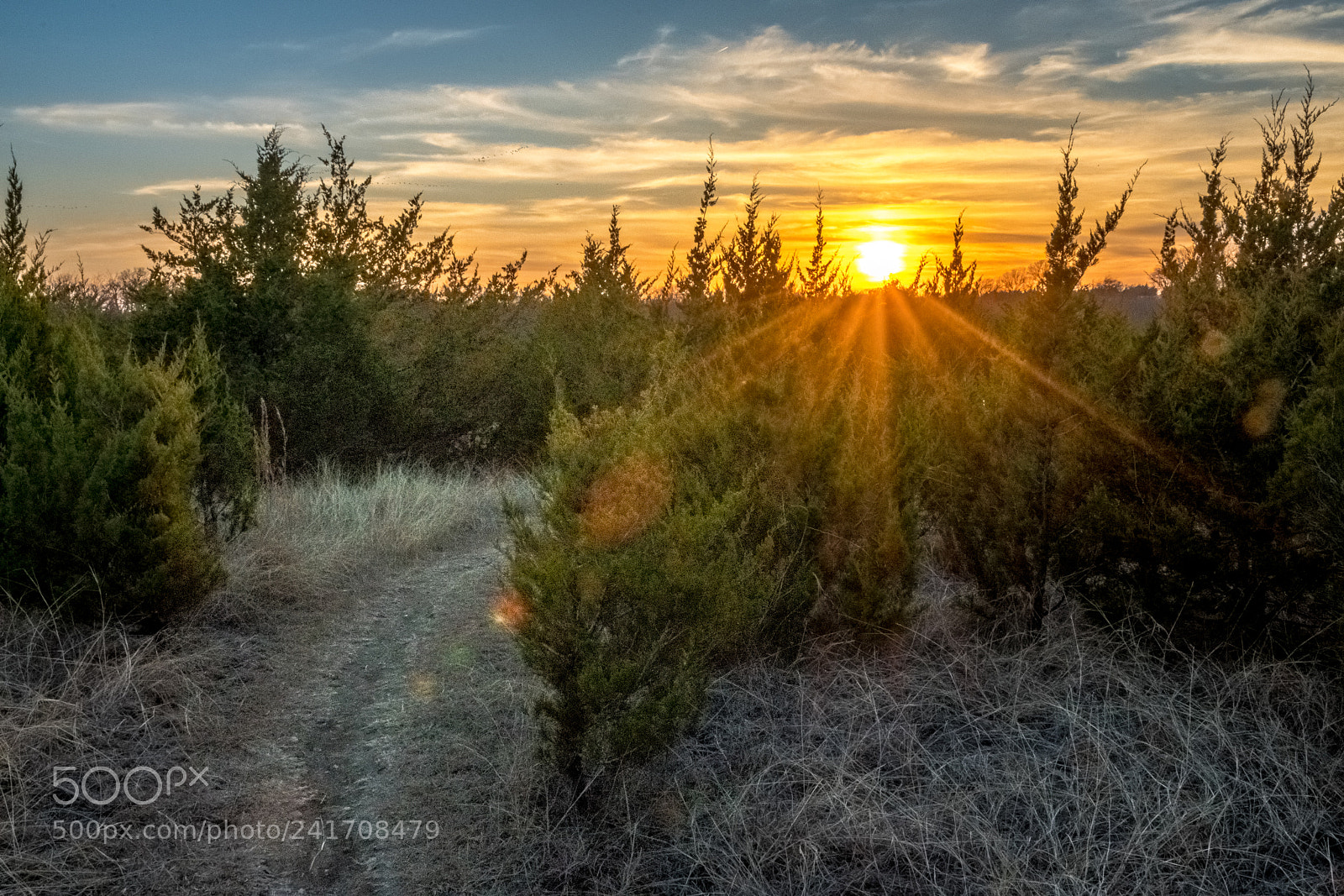 Nikon D500 sample photo. Texas sunset photography