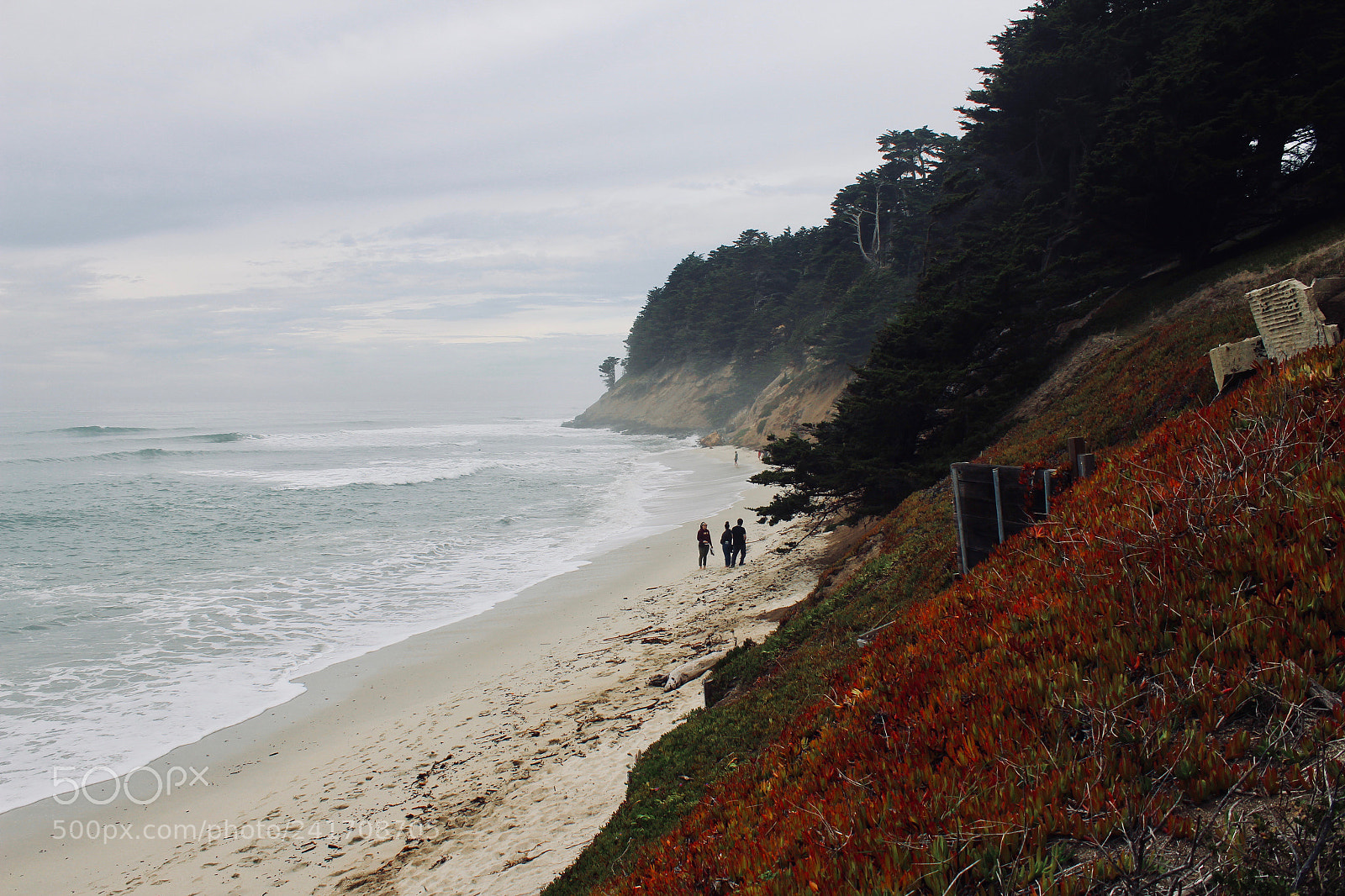Canon EOS 600D (Rebel EOS T3i / EOS Kiss X5) sample photo. Moss beach photography