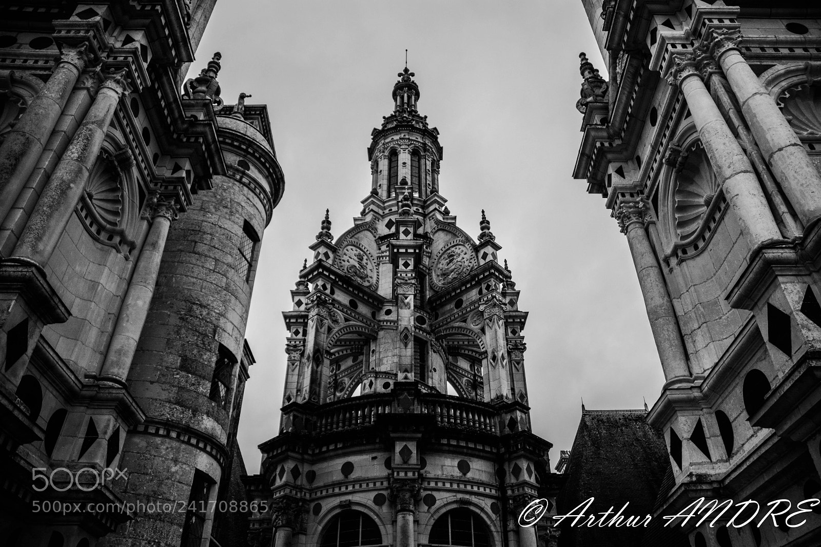 Nikon D7100 sample photo. Chambord d voile ses photography