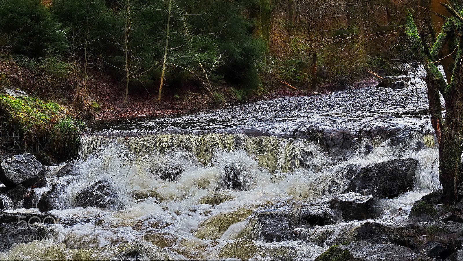 Olympus OM-D E-M1 Mark II sample photo. Oker river photography