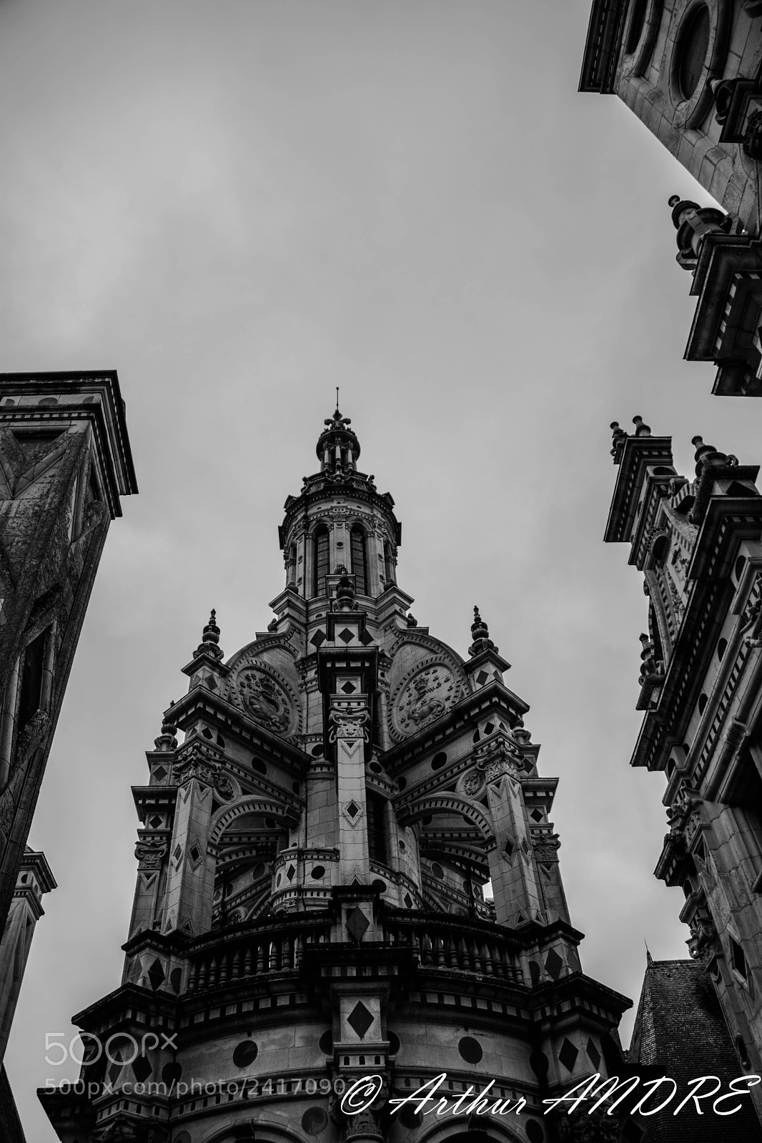 Nikon D7100 sample photo. Chambord photography