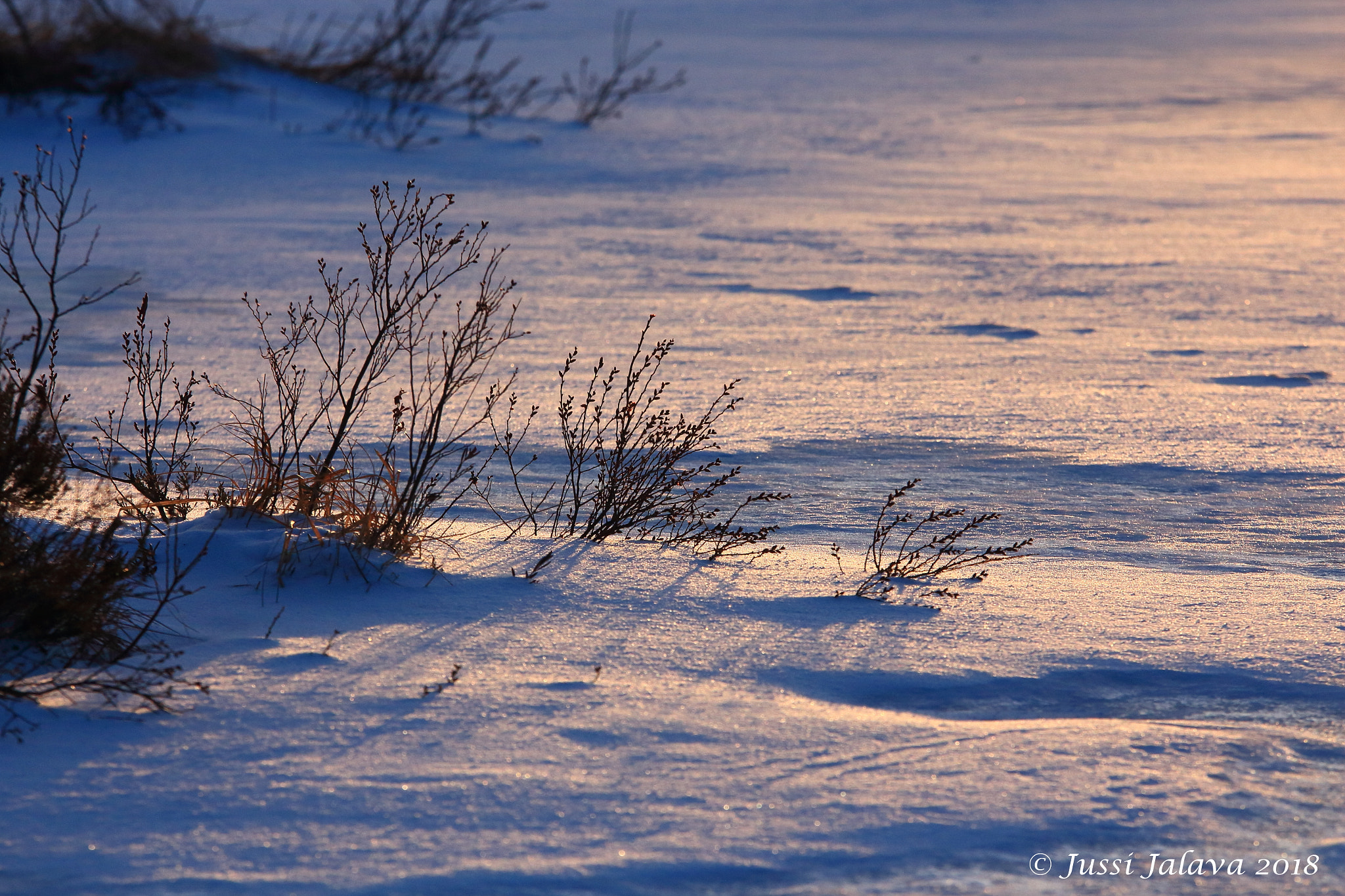 Sigma 70-200mm F2.8 EX DG OS HSM sample photo. Img photography