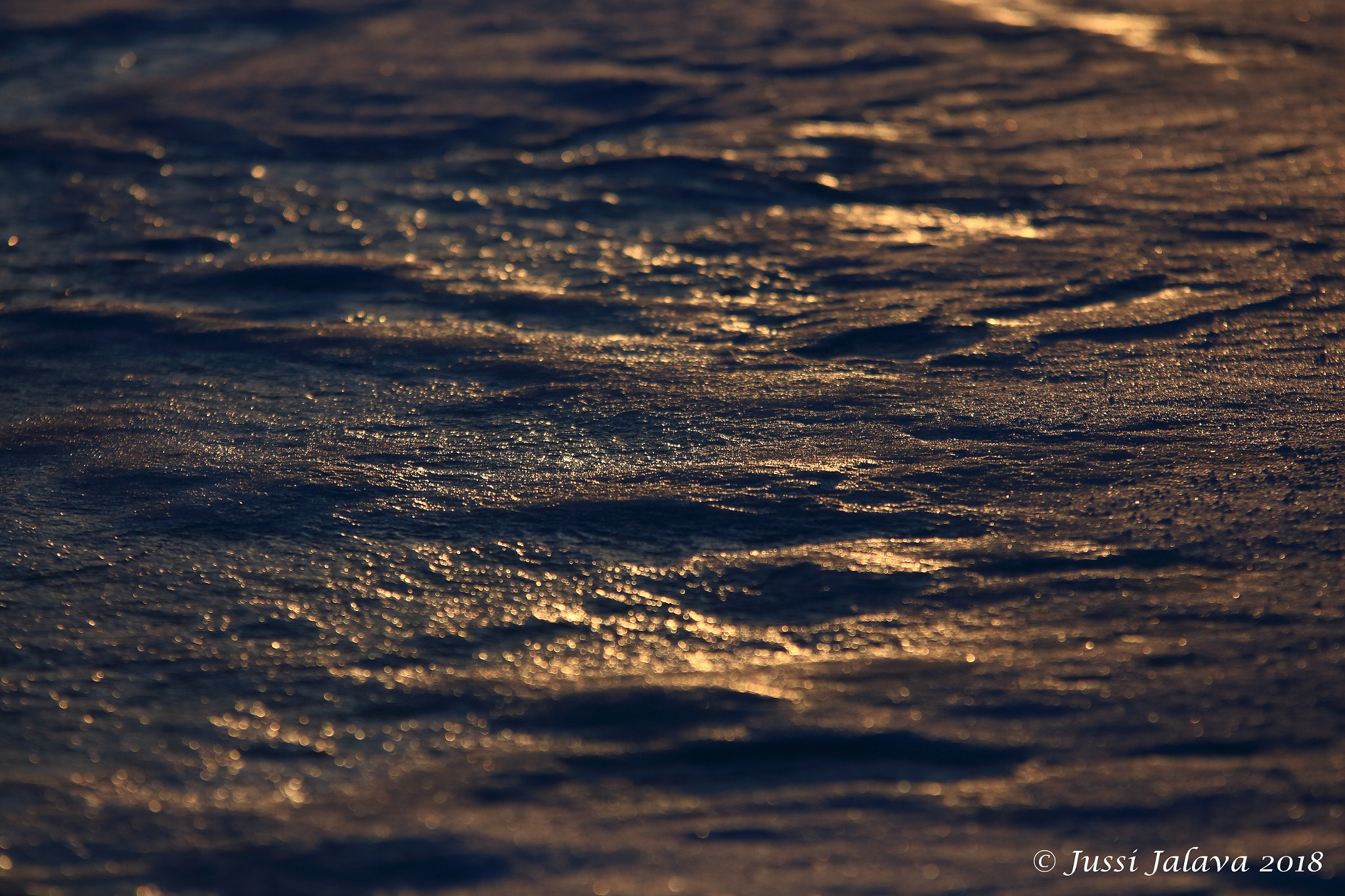 Sigma 70-200mm F2.8 EX DG OS HSM sample photo. Img photography