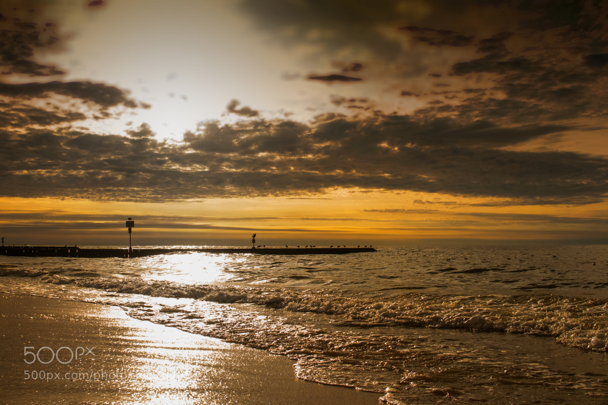 Nikon D500 sample photo. Sunset photography