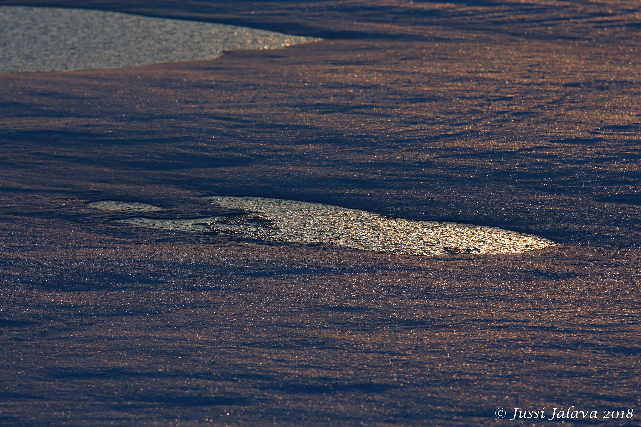 Sigma 70-200mm F2.8 EX DG OS HSM sample photo. Img photography