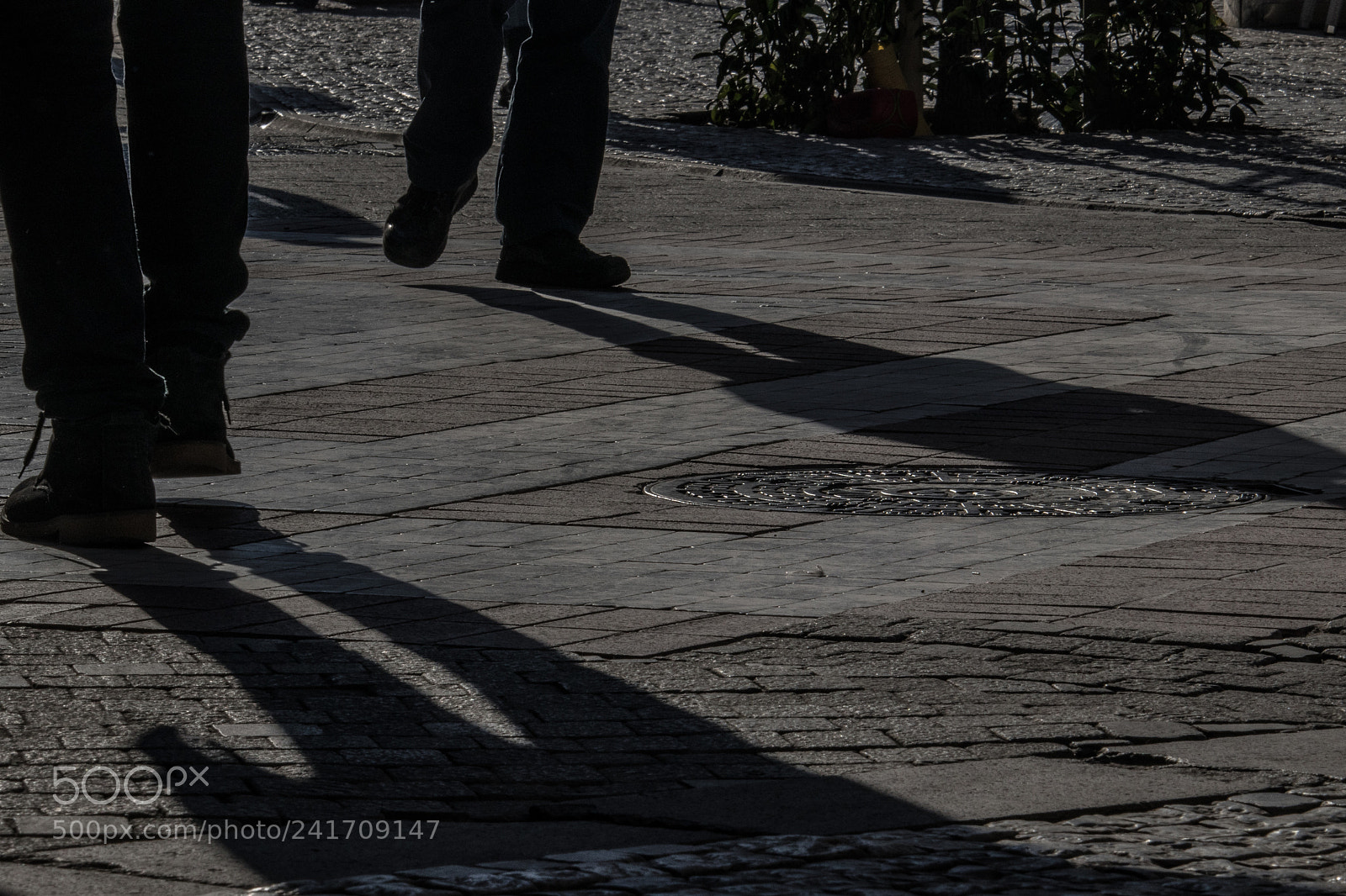 Canon EOS 800D (EOS Rebel T7i / EOS Kiss X9i) sample photo. Shadows photography