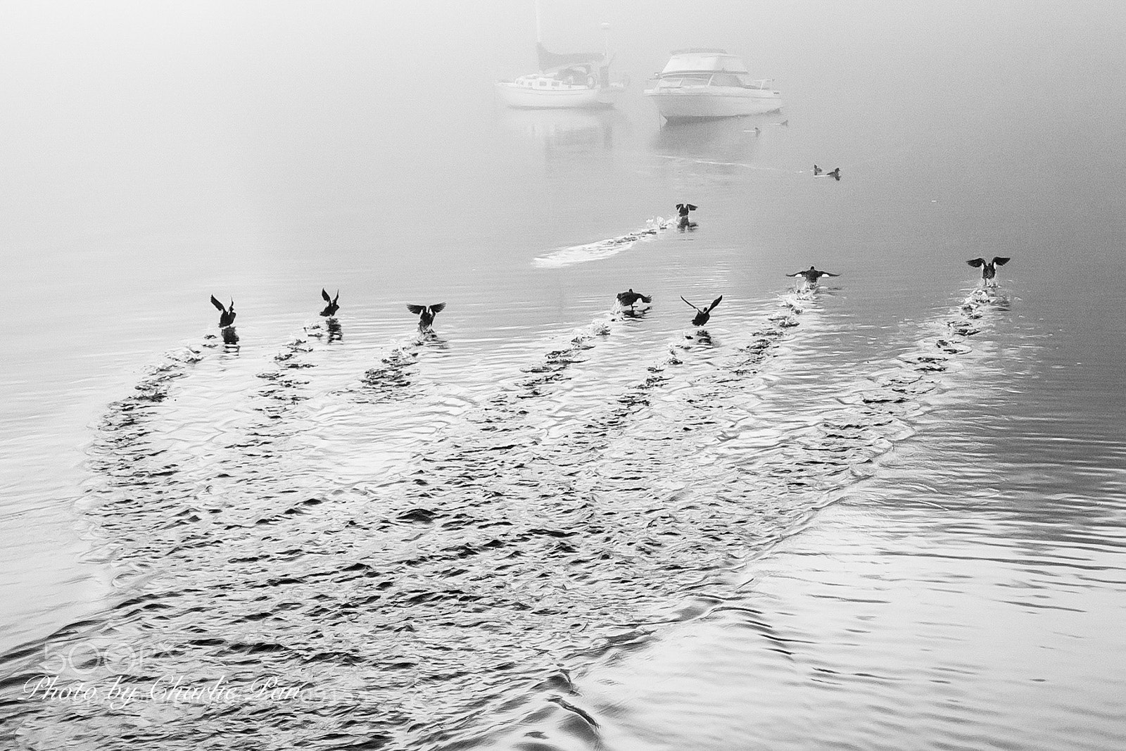 Sony a9 sample photo. Deep cove photography