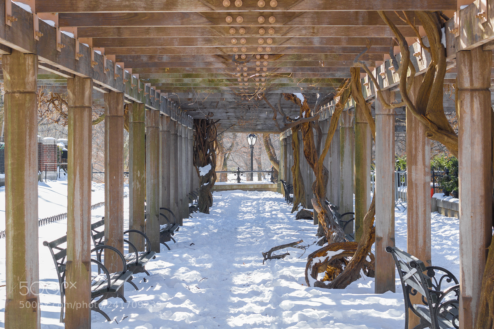 Canon EOS 750D (EOS Rebel T6i / EOS Kiss X8i) sample photo. Snow, wood photography