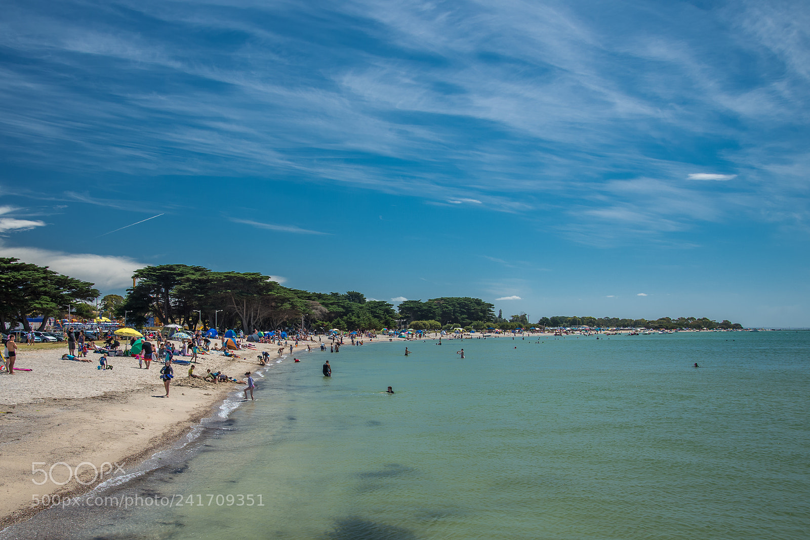 Nikon D600 sample photo. Portarlington ferry trip photography