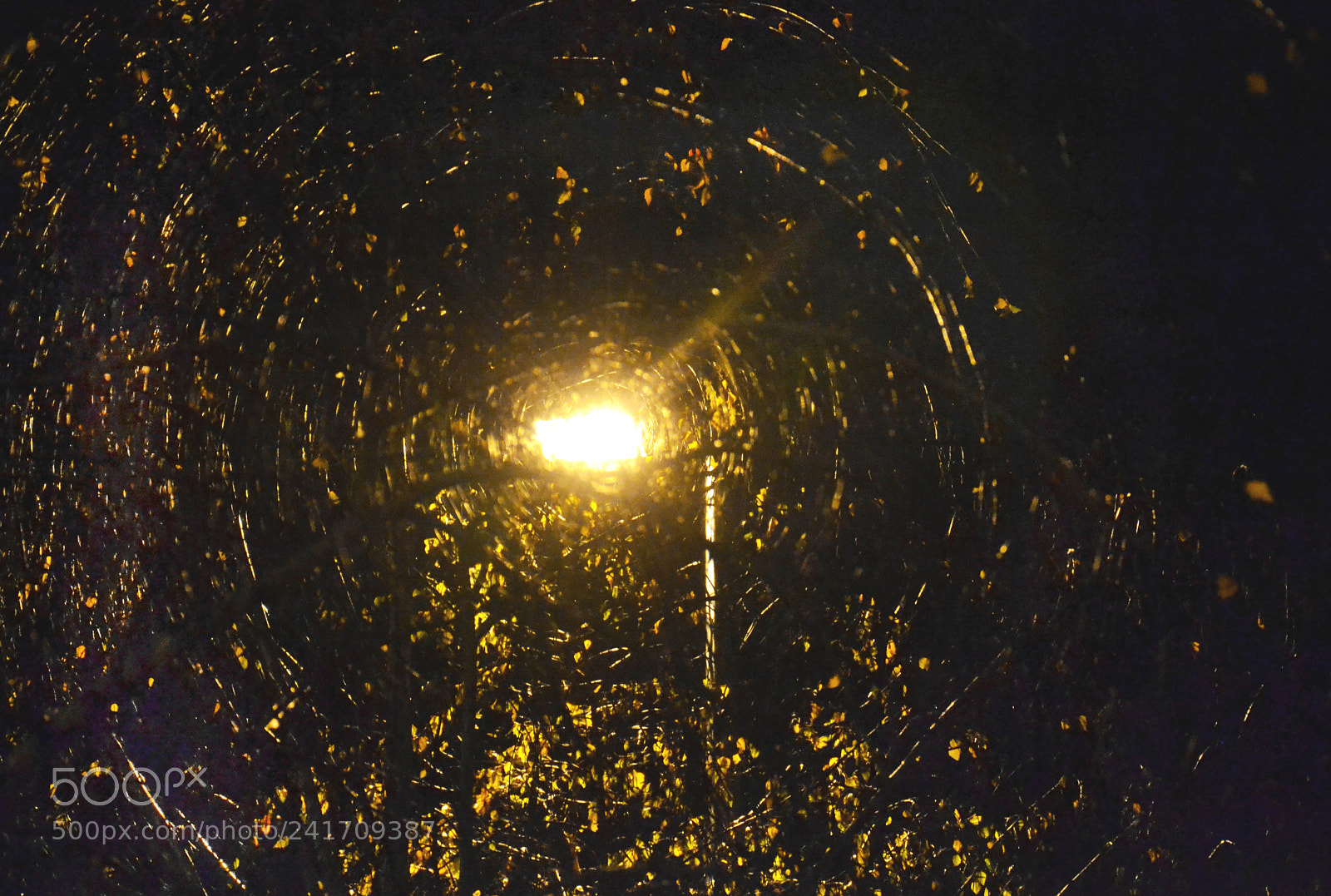 Nikon D3100 sample photo. Nest. photography
