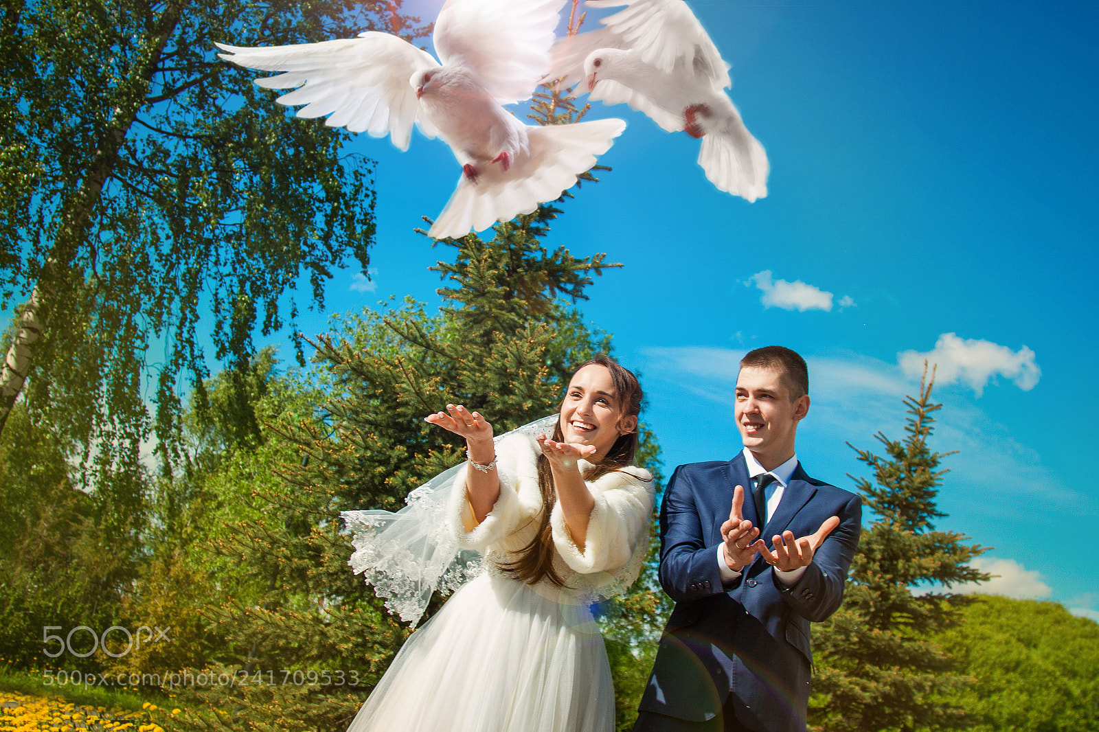 Canon EOS 50D sample photo. июня photography