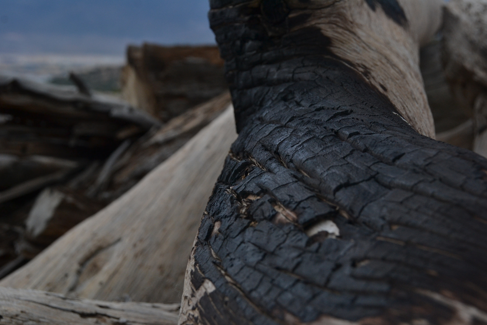Nikon D3100 sample photo. () photography