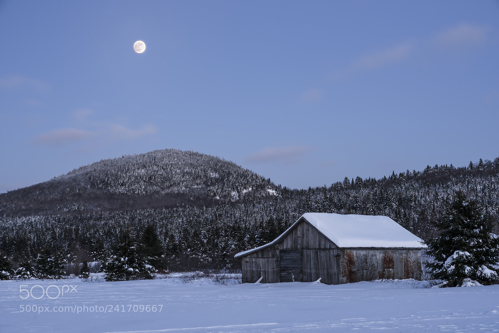 Nikon D810 sample photo. Bright winter night photography