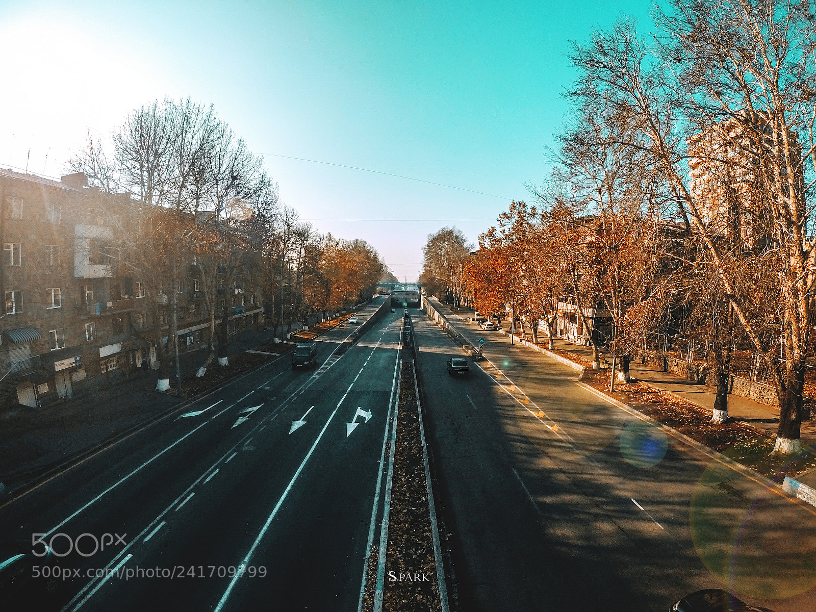 GoPro Hero5 Black sample photo. Avenue photography