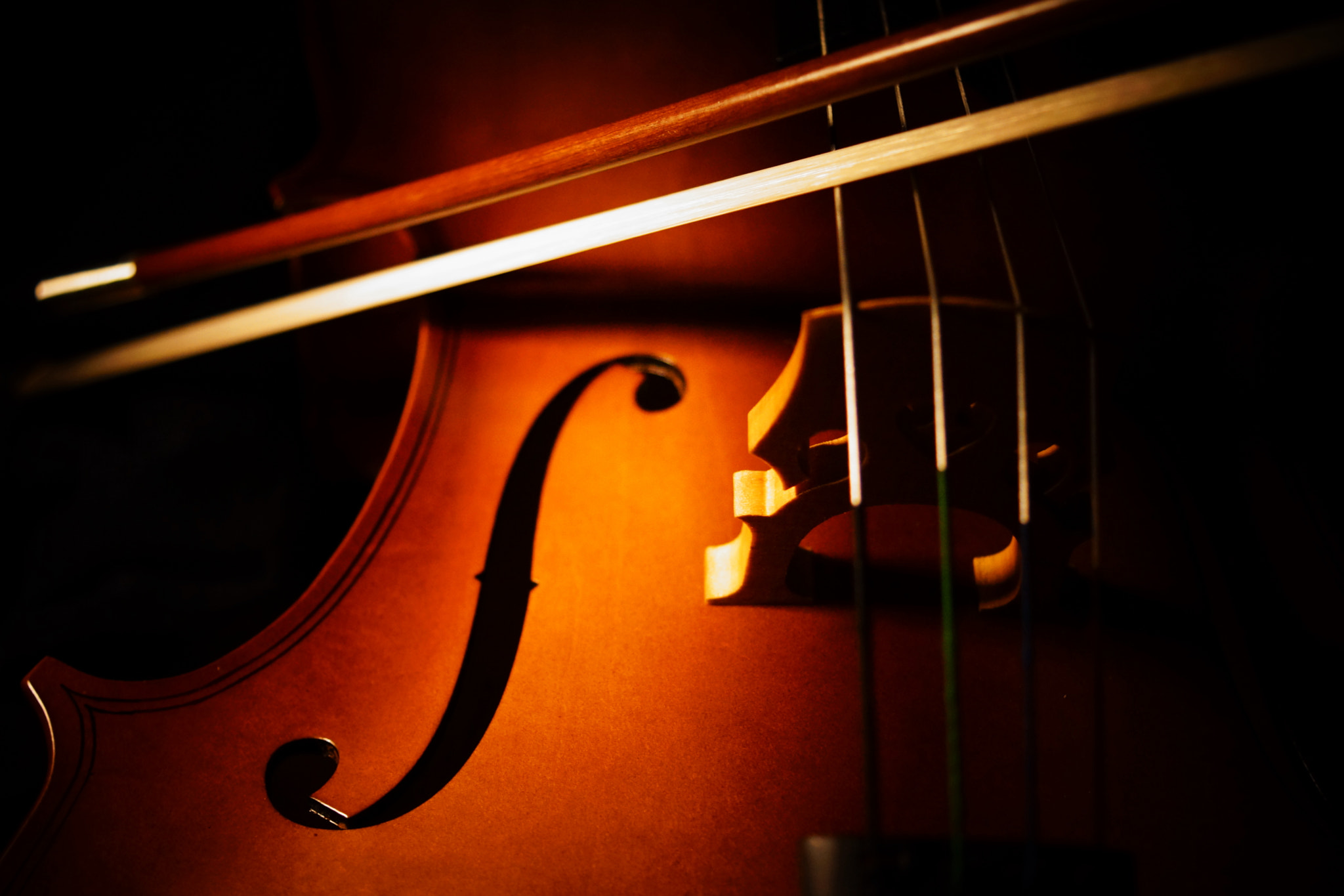 Sony DT 30mm F2.8 Macro SAM sample photo. Cello song photography