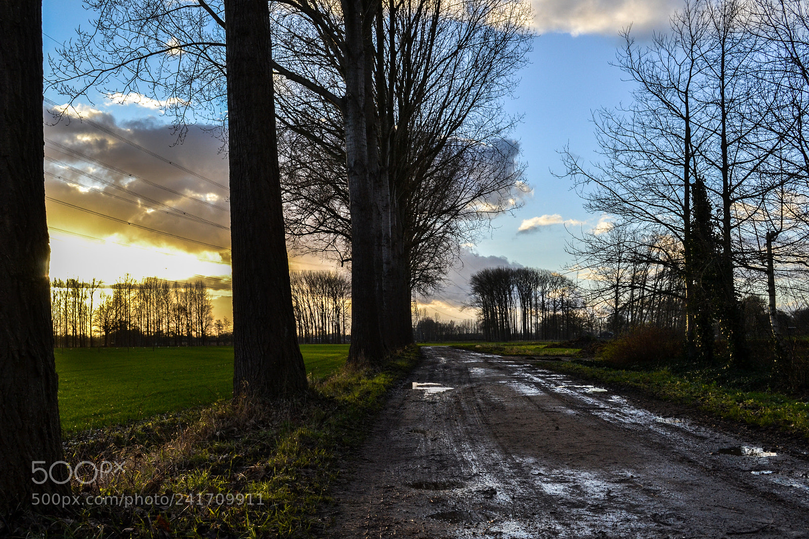 Nikon D3100 sample photo. Country road photography