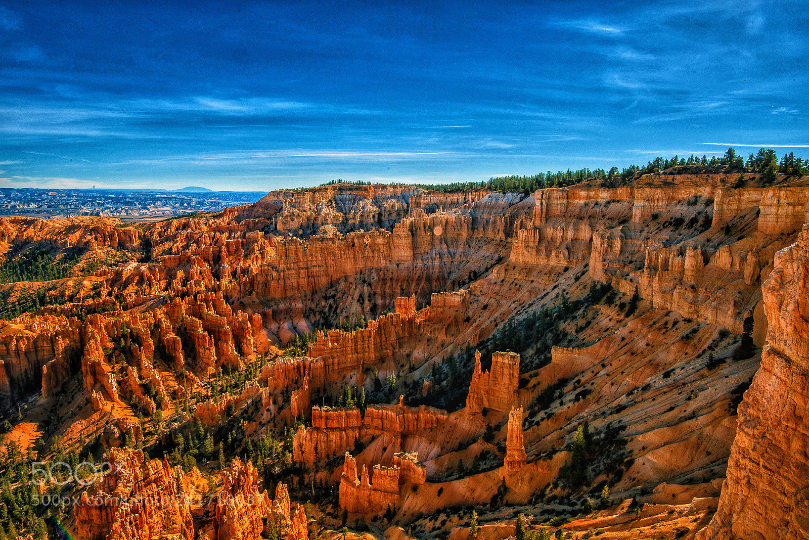 Nikon D800 sample photo. Bryce canyon national park,utah photography