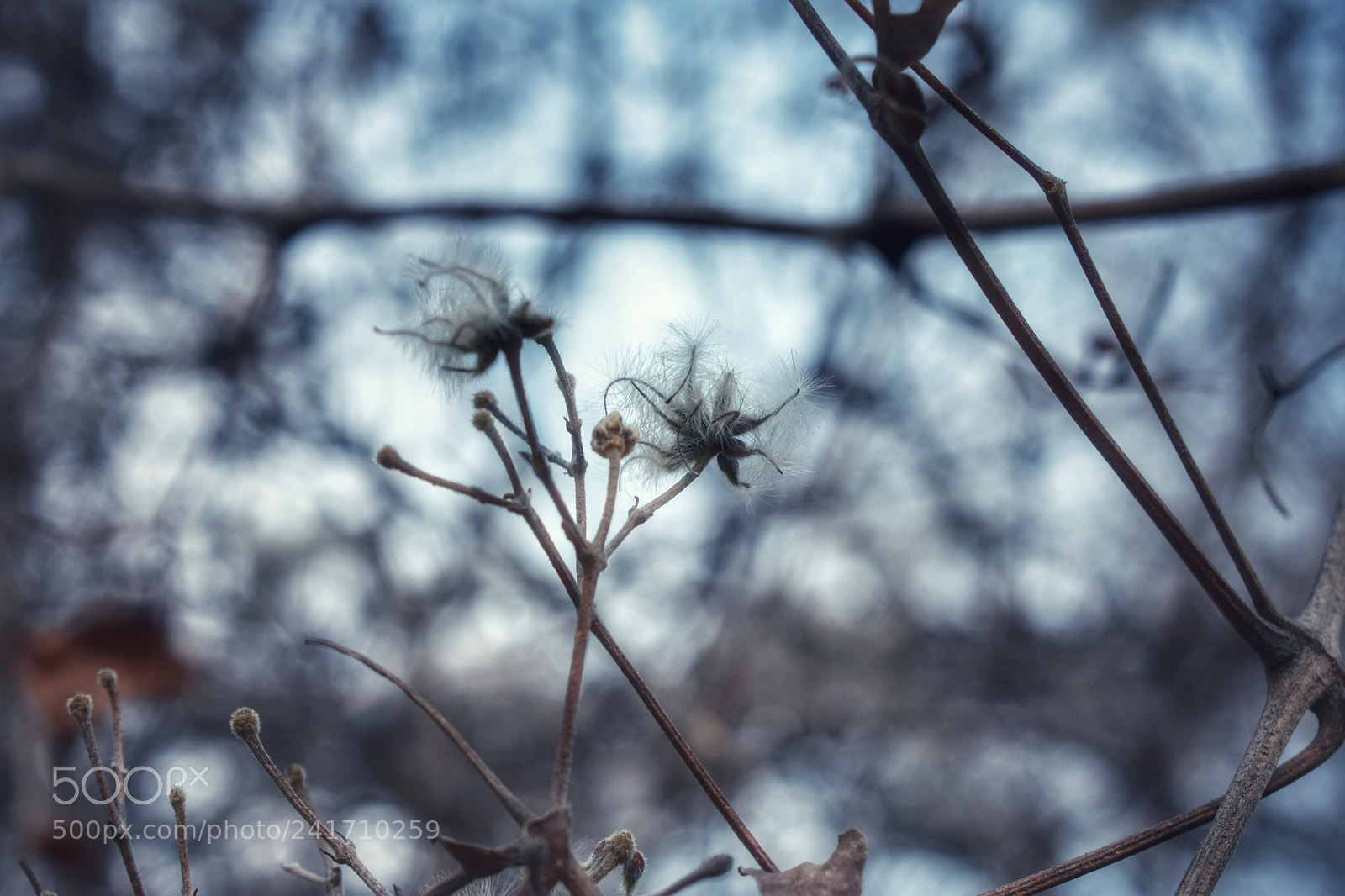 Nikon D3400 sample photo. ... photography