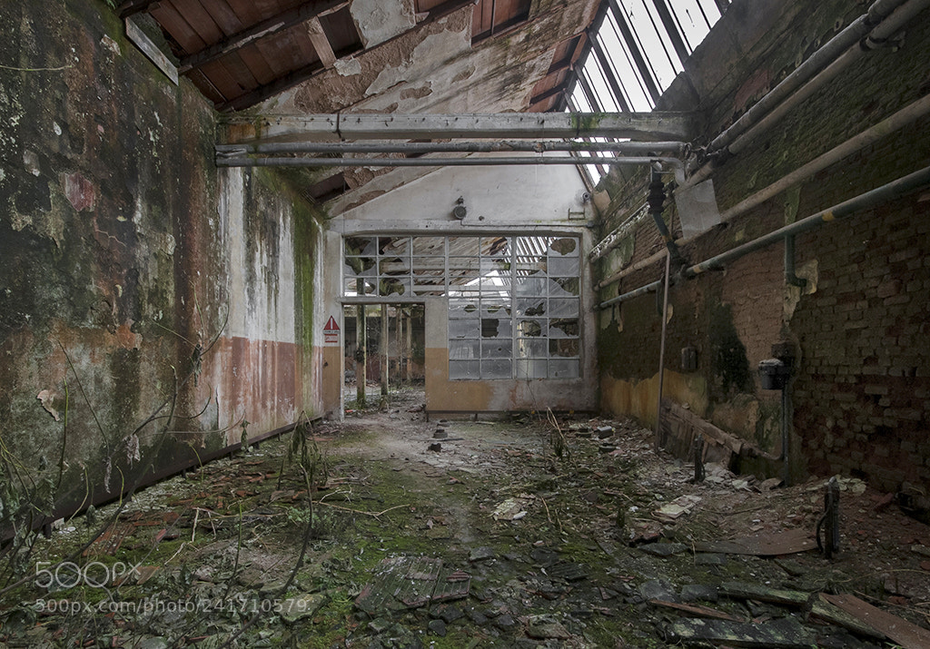 Nikon D300 sample photo. Rivoluzione industriale photography