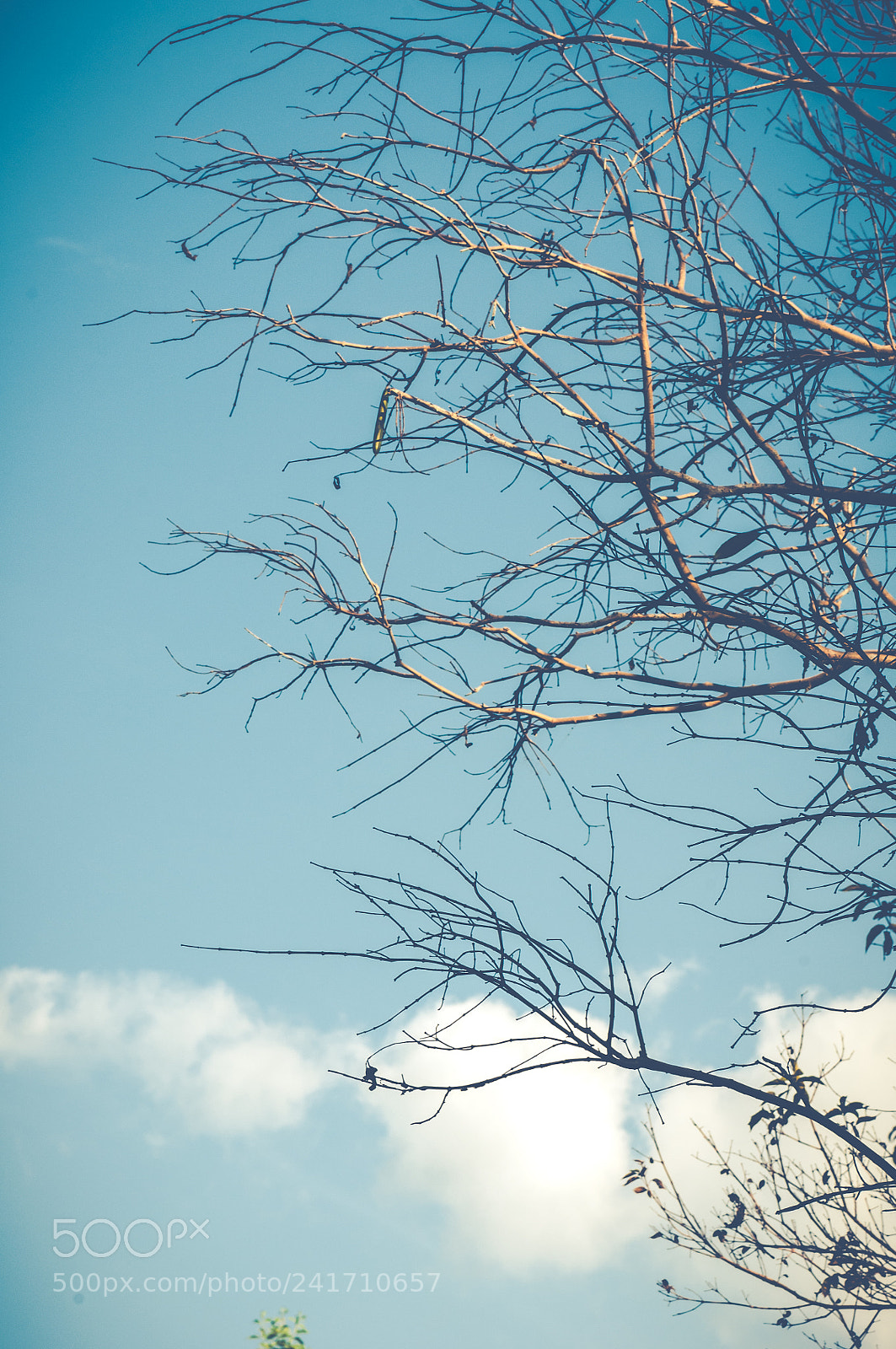Nikon D300S sample photo. Winter come photography