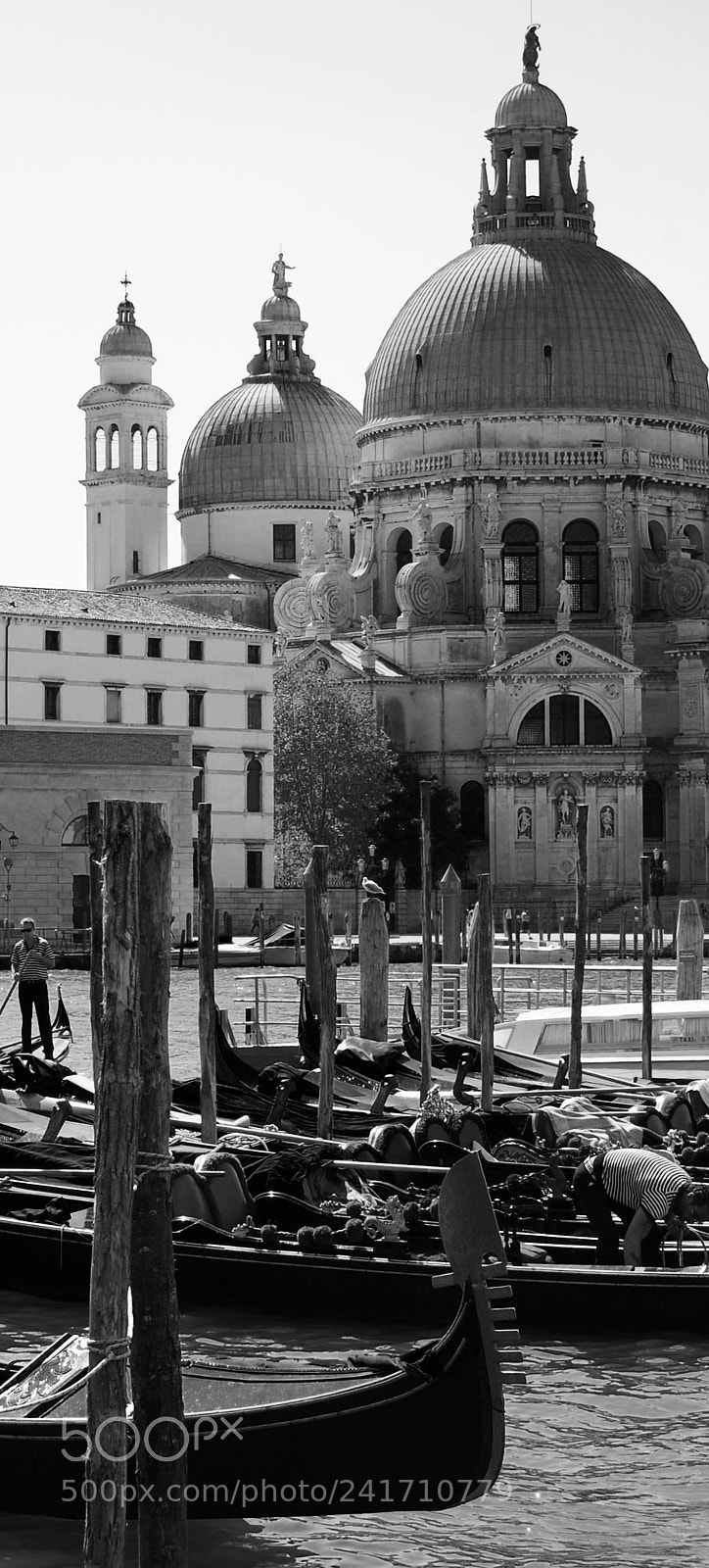 Nikon D40 sample photo. Venezia photography