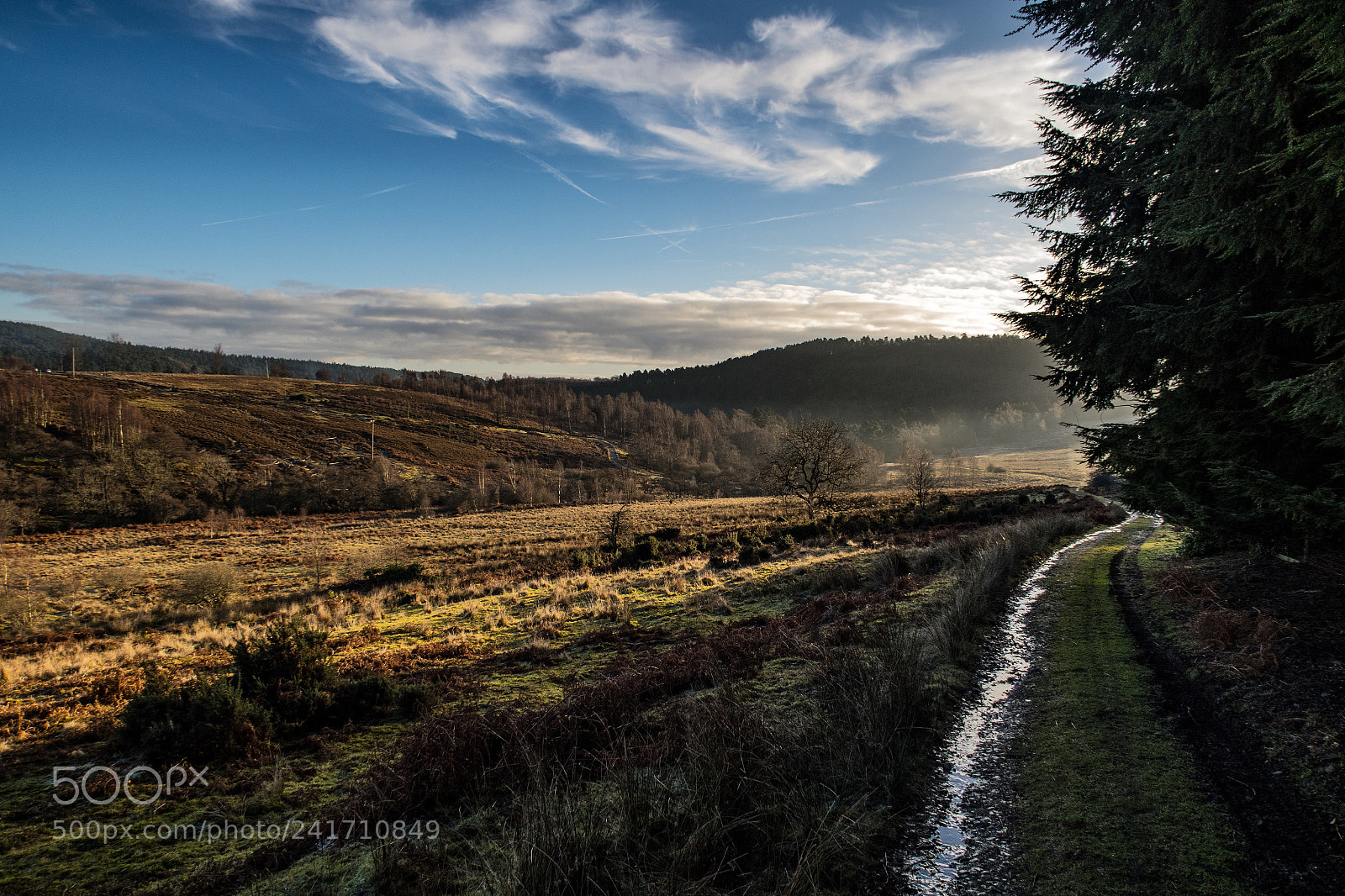 Canon PowerShot G7 X sample photo. Rothbury photography