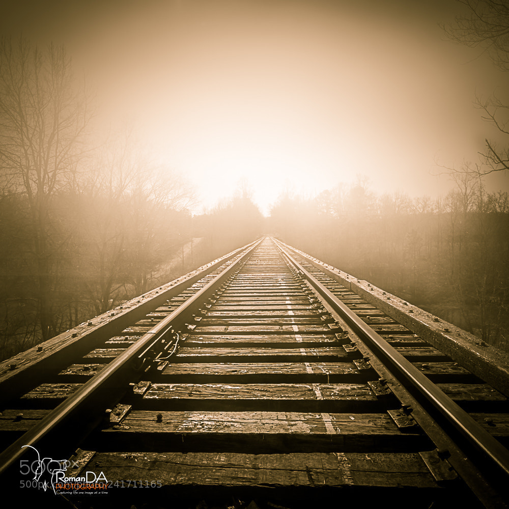 Nikon D7200 sample photo. Into the fog photography