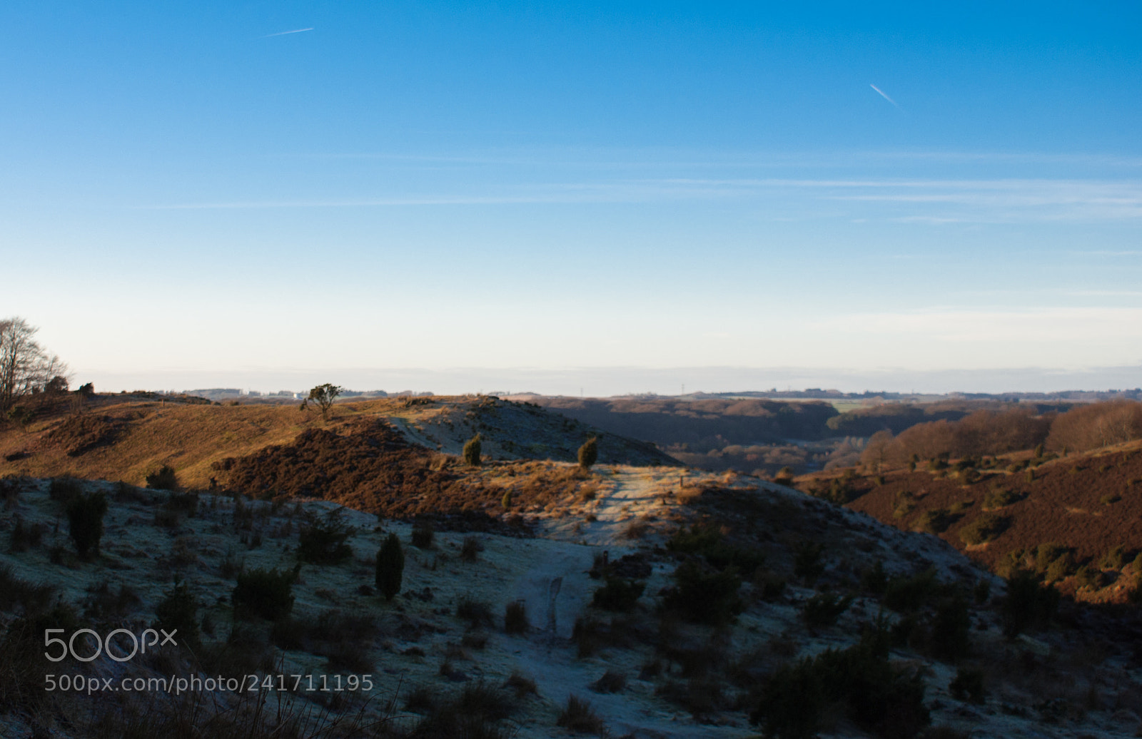 Sony Alpha DSLR-A300 sample photo. Rebild bakker photography