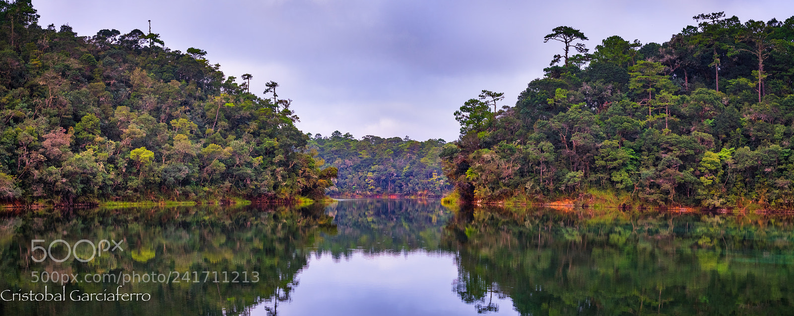 Nikon D500 sample photo. Reflections at montebello lagoon photography