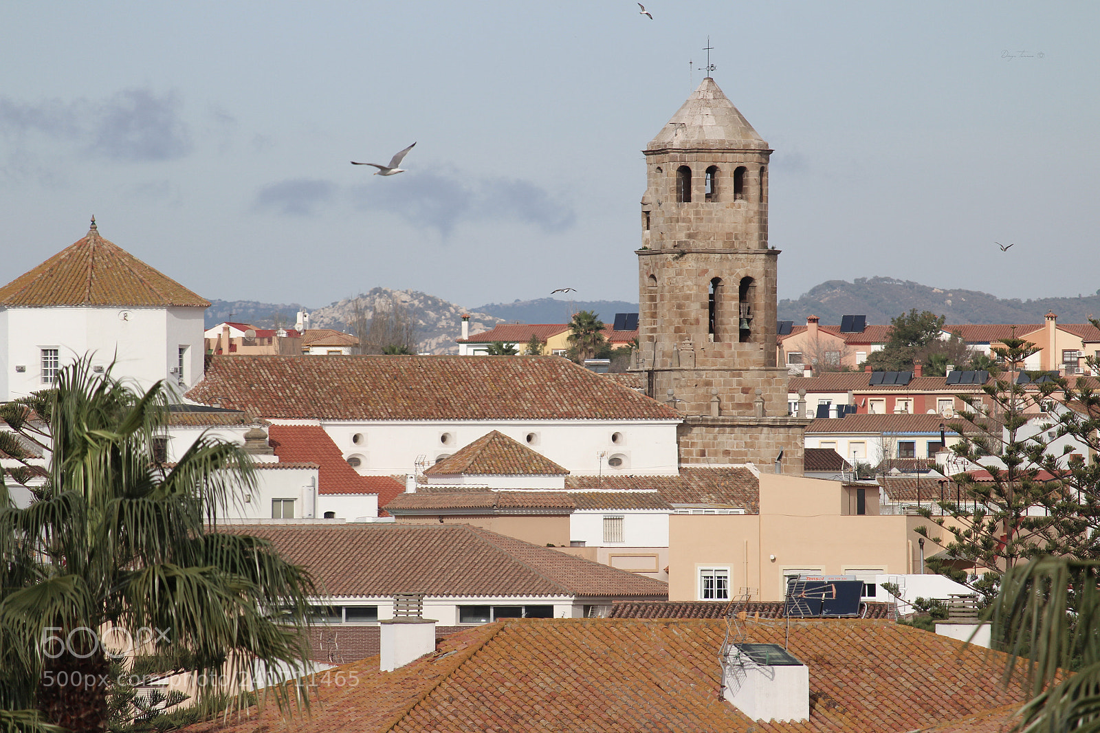 Canon EOS 1300D (EOS Rebel T6 / EOS Kiss X80) sample photo. Los barrios, cadiz photography