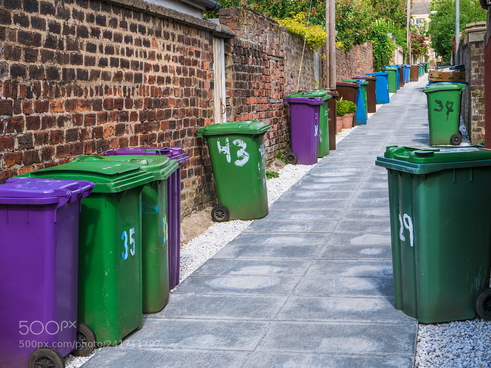 Panasonic Lumix DMC-LX100 sample photo. British alleyway bins photography