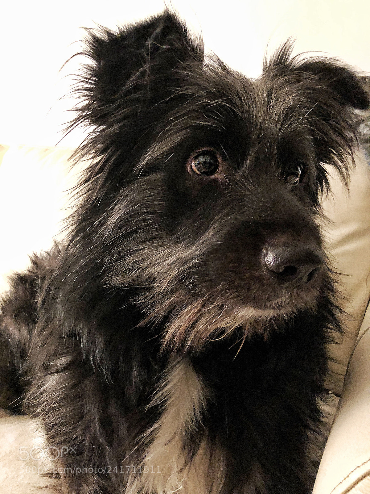Apple iPhone X sample photo. Where is my dinner?! photography