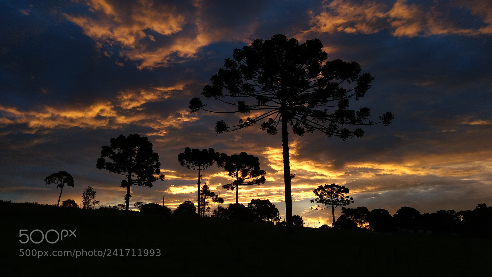 Motorola Moto G (4) sample photo. Sunset in the paraná photography