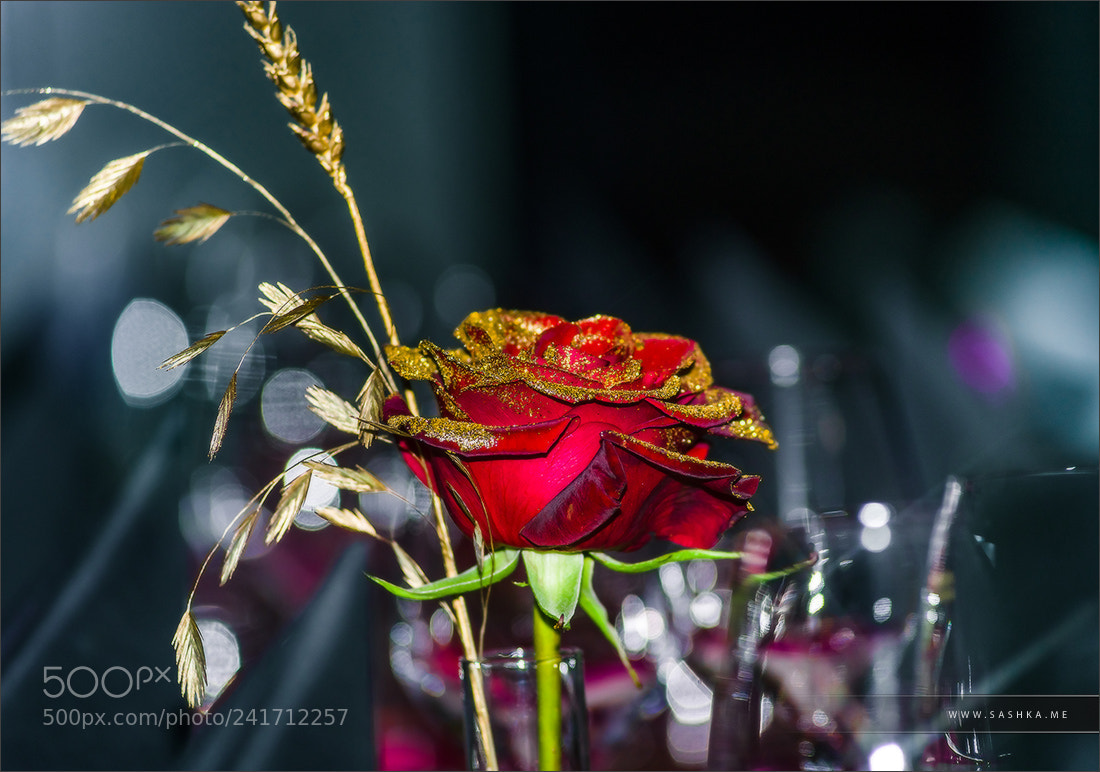 Sony Alpha a99 sample photo. Decorated tables in little photography