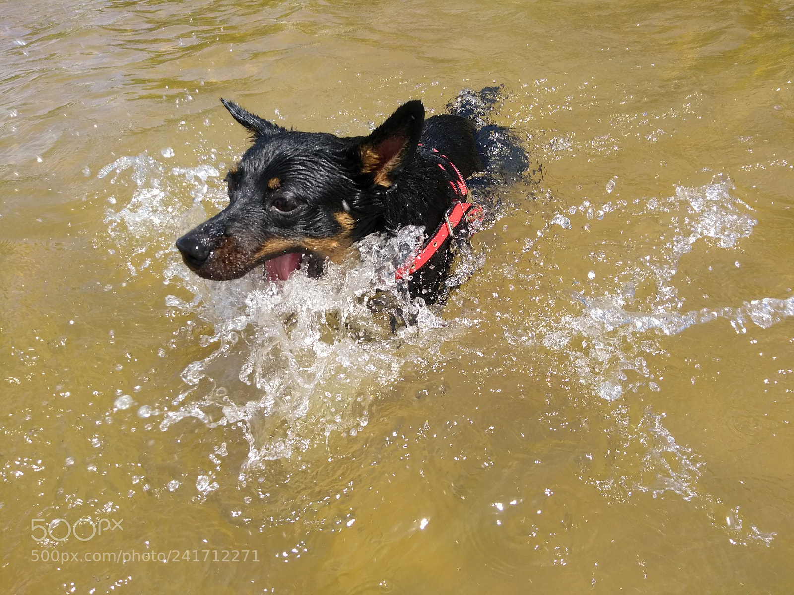 Motorola Moto G (5th Gen) sample photo. Untitled photography