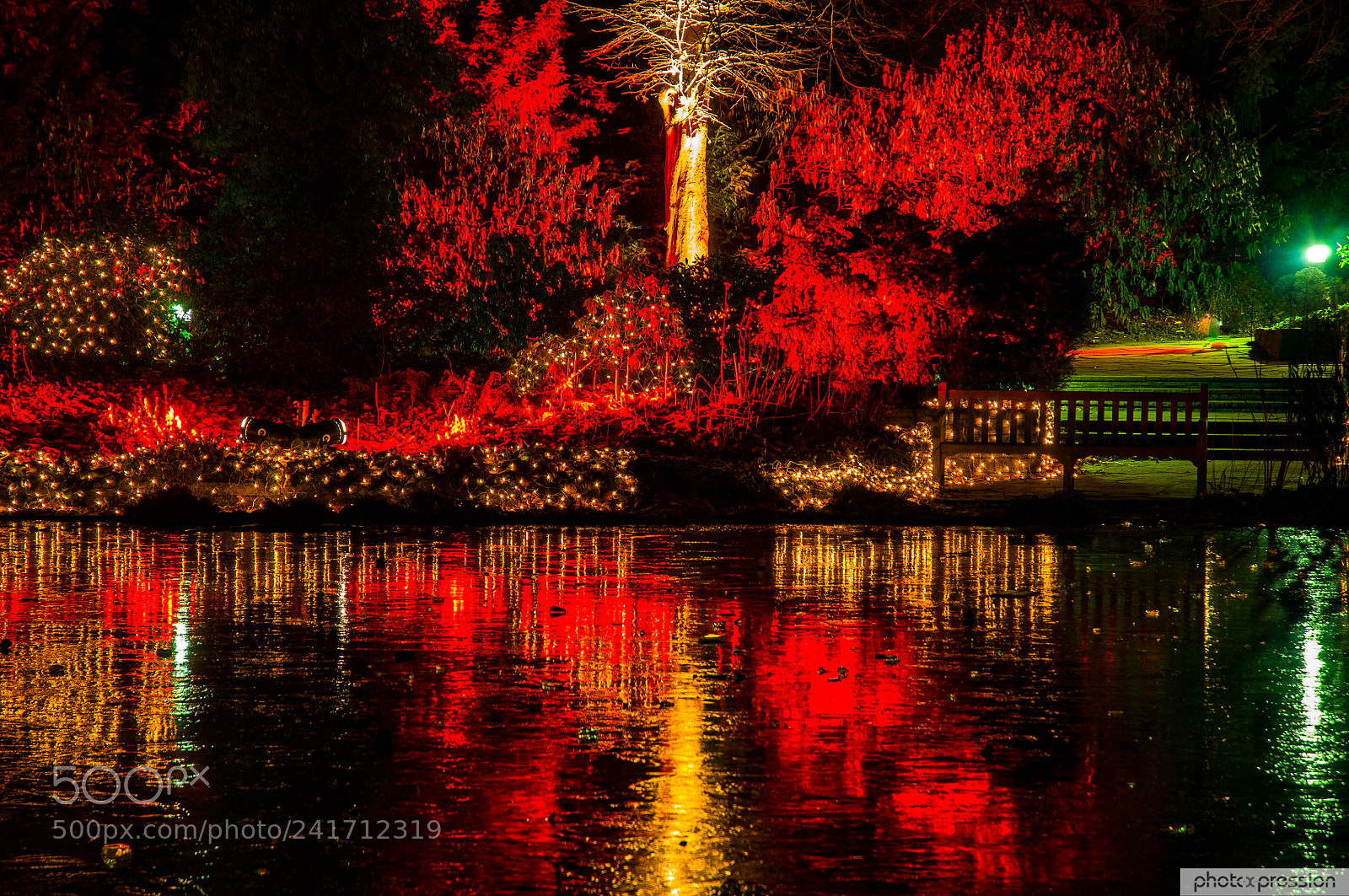Nikon D300 sample photo. Glowing night photography