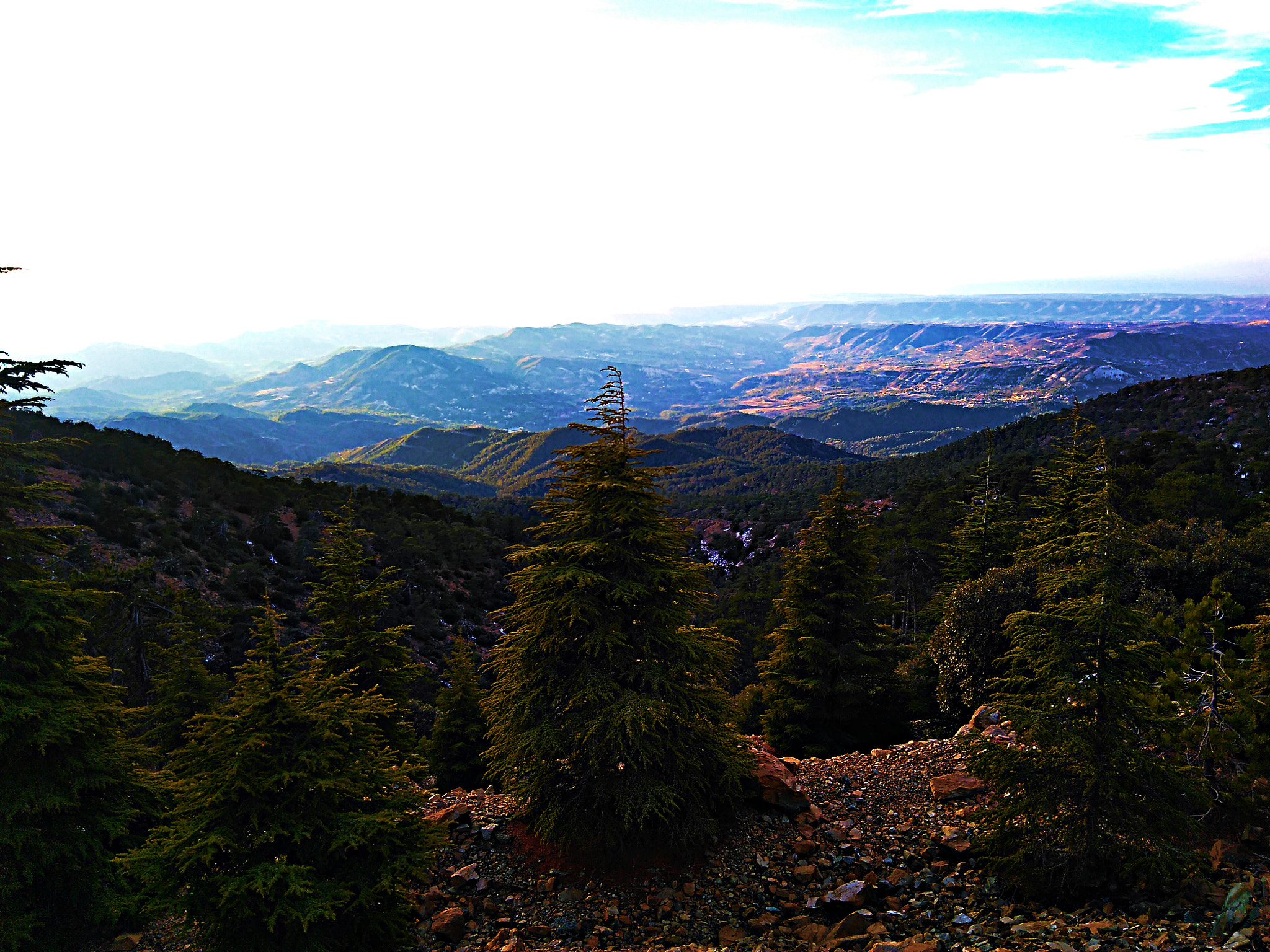 QCOM-AA QCAM-AA sample photo. Dat view though photography