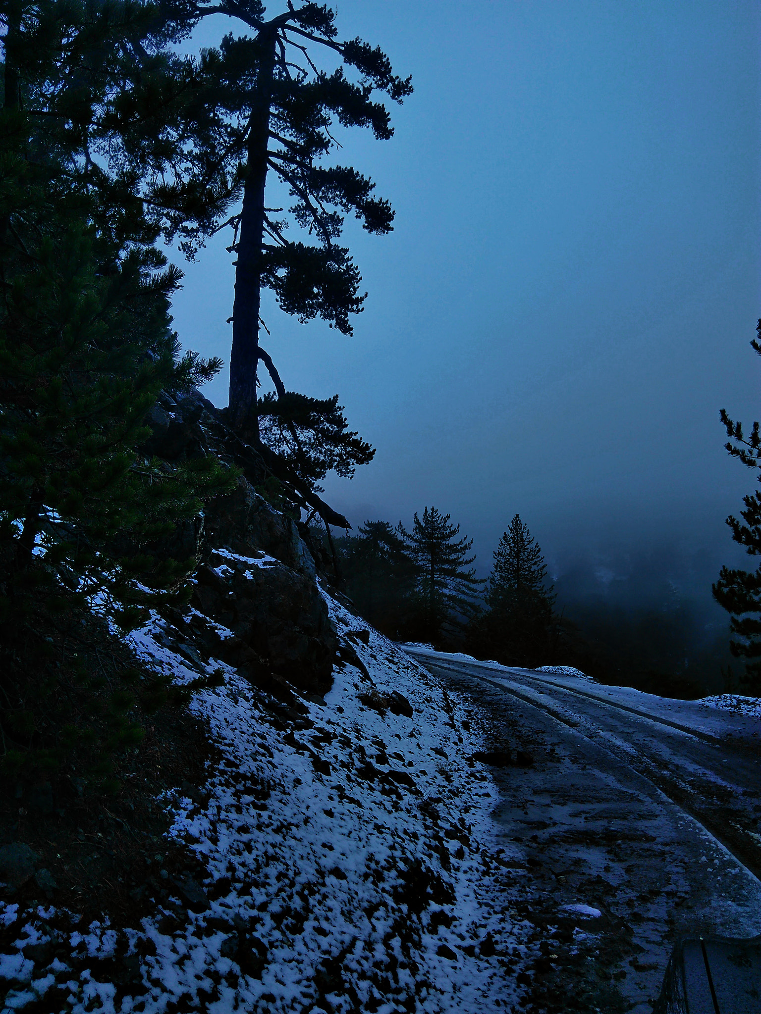 QCOM-AA QCAM-AA sample photo. Foggy photography
