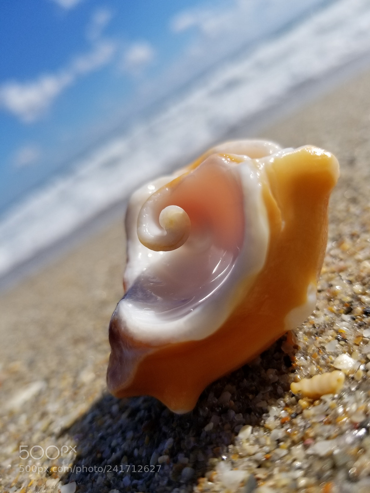 Samsung Galaxy S8 sample photo. Untitled photography
