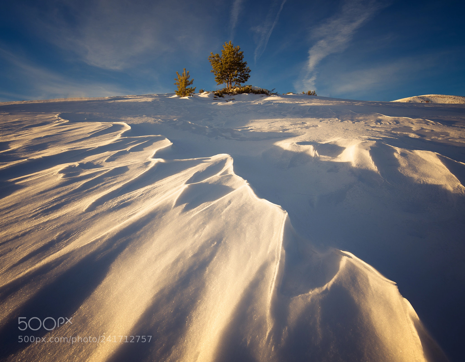 Nikon D600 sample photo. Winter precious photography