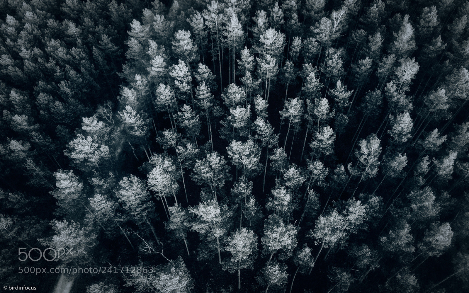 DJI FC220 sample photo. Structured-mess-from-above photography