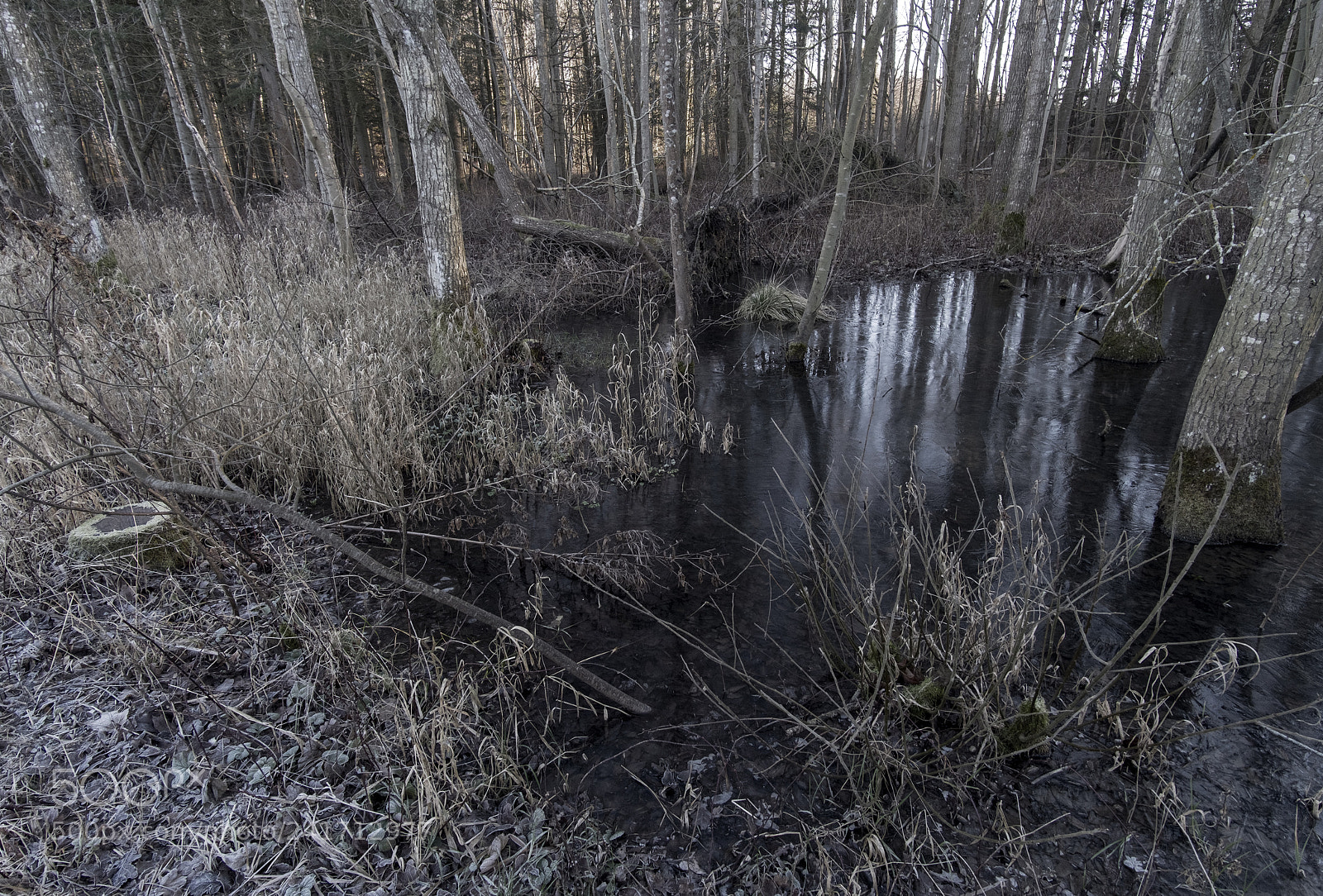 Fujifilm X-T20 sample photo. Cold january 2018 photography