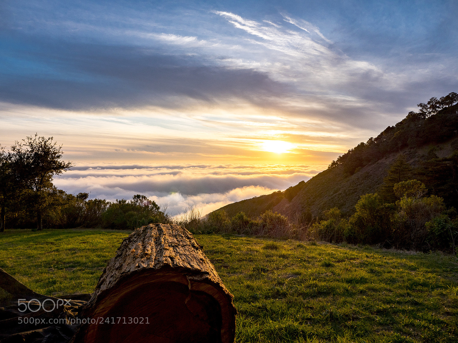 Panasonic Lumix DMC-GH4 sample photo. Sunset log photography