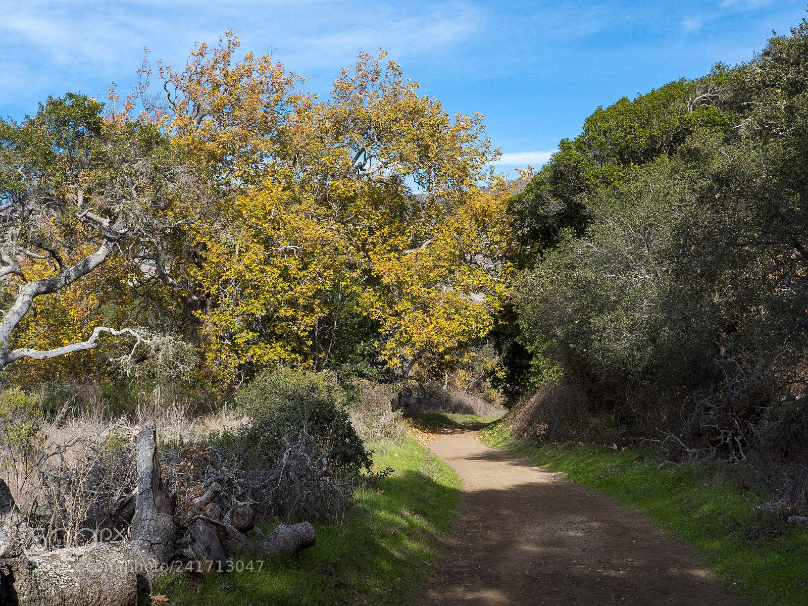 Panasonic Lumix DMC-GH4 sample photo. Trail photography