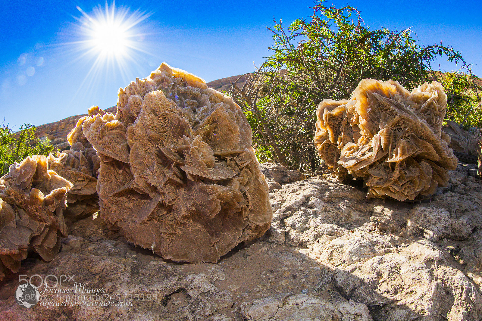 Canon EOS-1D Mark III sample photo. Roses des sables photography