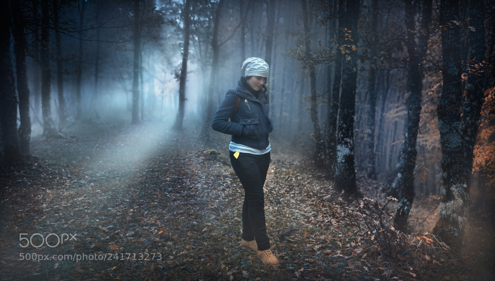 Sony ILCA-77M2 sample photo. Luce nel bosco photography