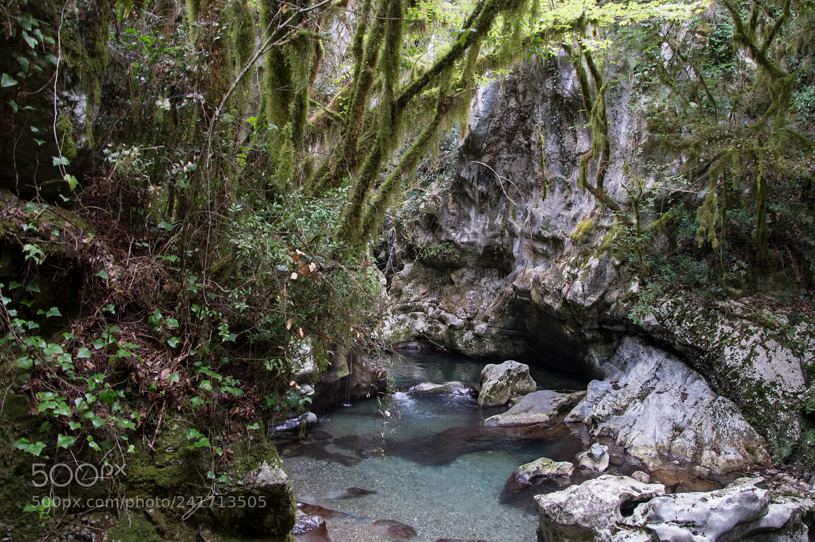 Nikon D3200 sample photo. Wwf oasi photography