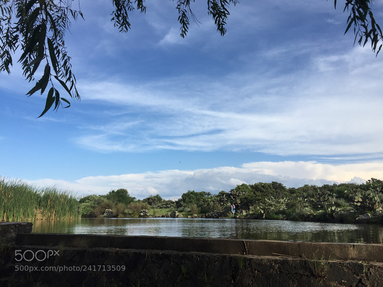Apple iPhone 6 sample photo. Paisaje photography