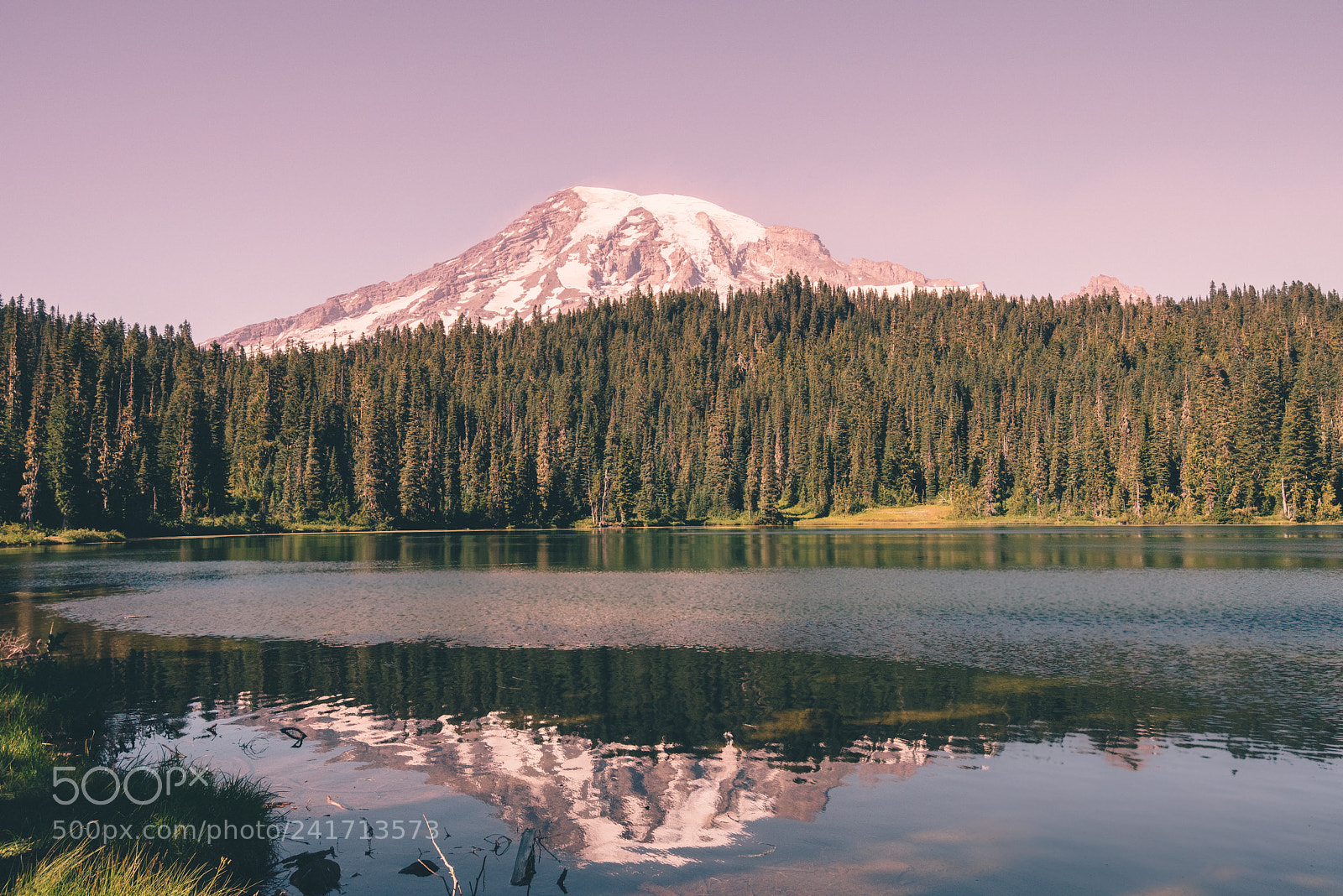 Nikon D810 sample photo. Mt. rainier photography